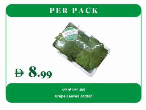 available at تروليز سوبرماركت in الإمارات العربية المتحدة , الامارات - دبي