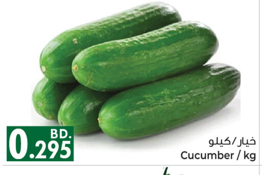 Cucumber available at بحرين برايد in البحرين