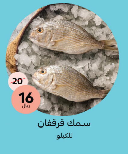 available at Mazaya in KSA, Saudi Arabia, Saudi - Qatif