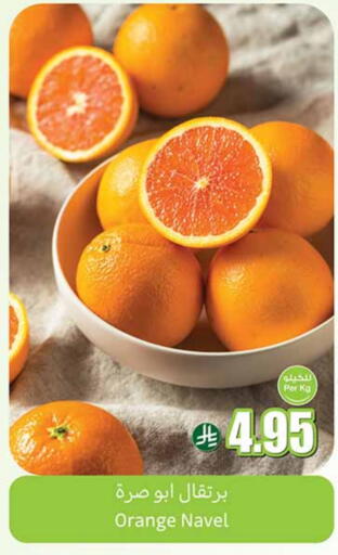 Orange available at Othaim Markets in KSA, Saudi Arabia, Saudi - Bishah