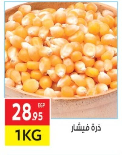 available at المحلاوي ماركت in Egypt - القاهرة