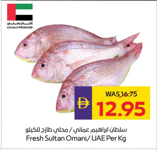 available at أدكووب in الإمارات العربية المتحدة , الامارات - أبو ظبي