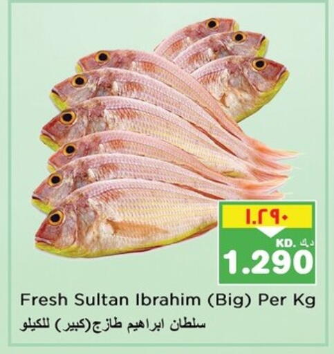 available at نستو هايبر ماركت in الكويت