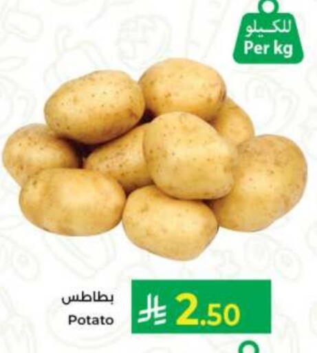 بطاطا available at كبايان هايبرماركت in مملكة العربية السعودية, السعودية, سعودية - جدة