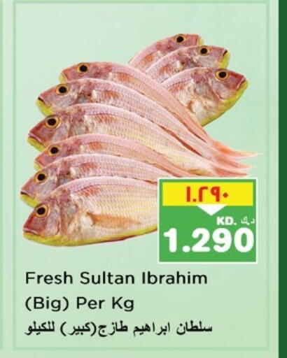 available at نستو هايبر ماركت in الكويت