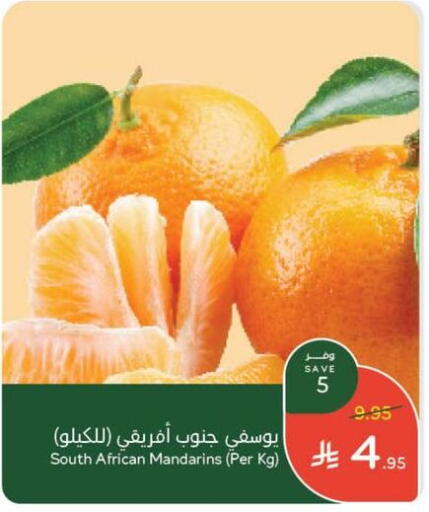 Fresh Fruits in Hyper Panda, Saudi Arabia Offers - Saudi Arabia Orange from South Africa available at Hyper Panda in KSA, Saudi Arabia, Saudi - Medina