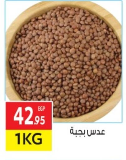 available at المحلاوي ماركت in Egypt - القاهرة