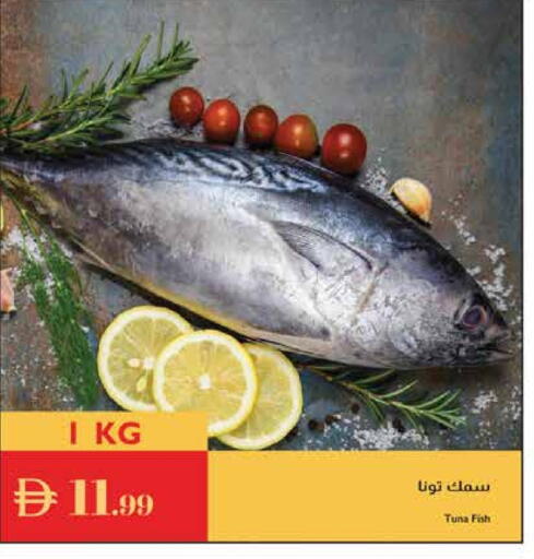 Tuna available at Istanbul Supermarket in UAE - Abu Dhabi
