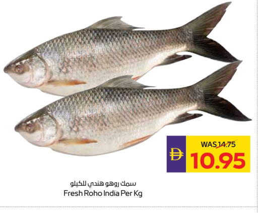 available at ميغا مارت سوبر ماركت in الإمارات العربية المتحدة , الامارات - الشارقة / عجمان