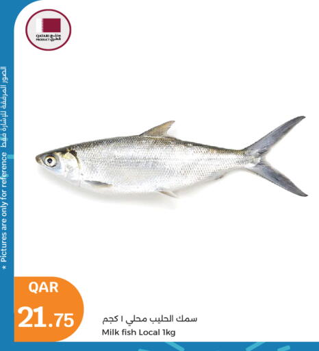 available at City Hypermarket in Qatar - Al Wakra