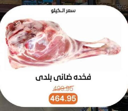 available at Beit El Gomla in Egypt - Cairo
