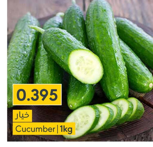 خيار available at المنتزه in البحرين