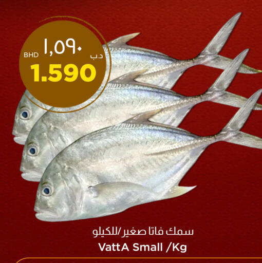 available at نستو in البحرين