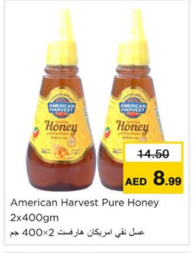 أمريكان هارفست عسل available at نستو هايبرماركت in الإمارات العربية المتحدة , الامارات - رَأْس ٱلْخَيْمَة