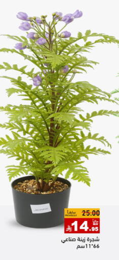available at Aswaq Ramez in KSA, Saudi Arabia, Saudi - Tabuk