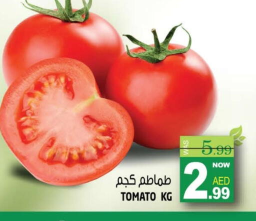 Tomato available at Hashim Hypermarket in UAE - Sharjah / Ajman