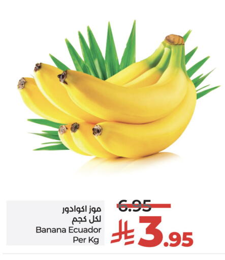 Banana from Ecuador available at LULU Hypermarket in KSA, Saudi Arabia, Saudi - Riyadh