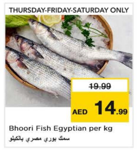 available at Nesto Hypermarket in UAE - Abu Dhabi