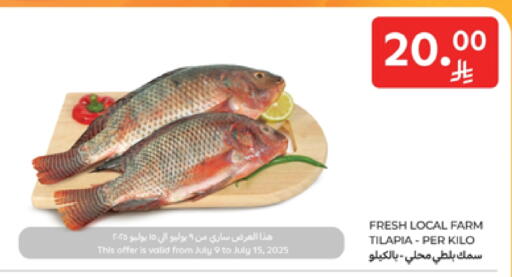available at Carrefour in KSA, Saudi Arabia, Saudi - Al Khobar