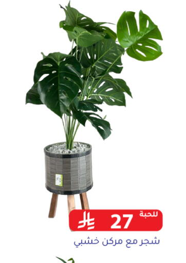 available at Family Discount in KSA, Saudi Arabia, Saudi - Riyadh