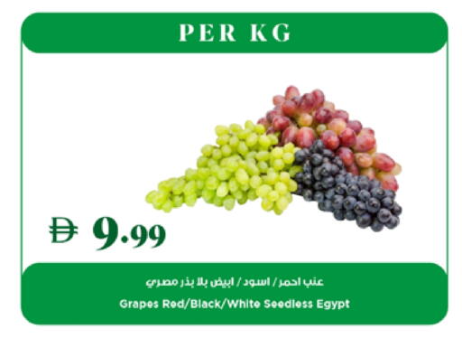 Grapes from Egypt available at Trolleys Supermarket in UAE - Dubai