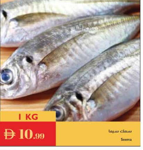 available at Istanbul Supermarket in UAE - Abu Dhabi