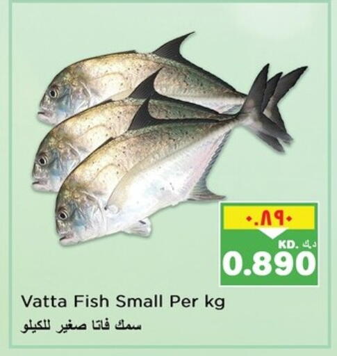 available at Nesto Hypermarkets in Kuwait - Kuwait City