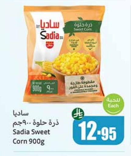 SADIA available at Othaim Markets in KSA, Saudi Arabia, Saudi - Az Zulfi