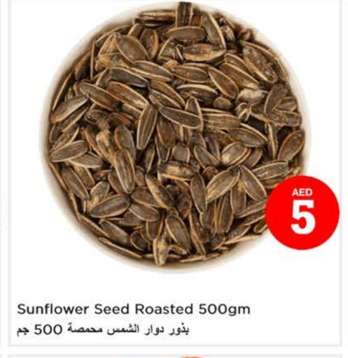 available at لاست تشانس in الإمارات العربية المتحدة , الامارات - ٱلْفُجَيْرَة‎