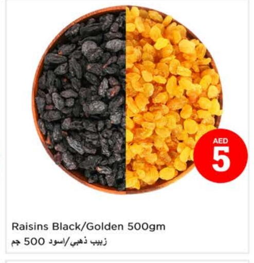 available at لاست تشانس in الإمارات العربية المتحدة , الامارات - ٱلْفُجَيْرَة‎