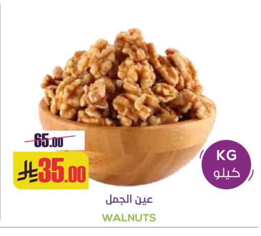 available at Sapt in KSA, Saudi Arabia, Saudi - Buraidah