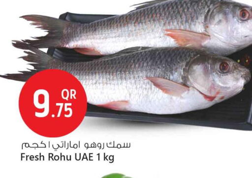 available at Safari Hypermarket in Qatar - Doha