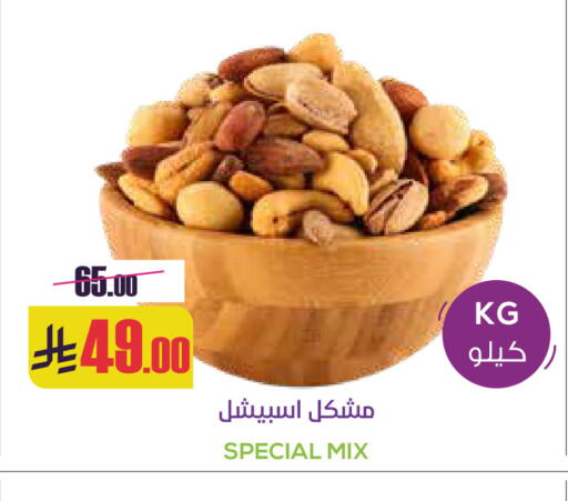 available at Sapt in KSA, Saudi Arabia, Saudi - Buraidah