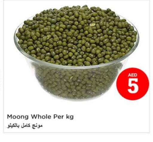 available at لاست تشانس in الإمارات العربية المتحدة , الامارات - ٱلْفُجَيْرَة‎