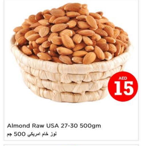 available at لاست تشانس in الإمارات العربية المتحدة , الامارات - ٱلْفُجَيْرَة‎