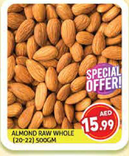 available at هايبرماركت النخيل محيصنة in الإمارات العربية المتحدة , الامارات - دبي