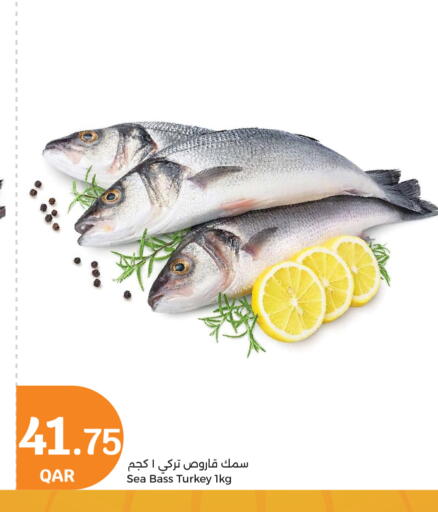 available at City Hypermarket in Qatar - Al Wakra