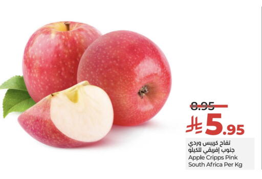 Apples from South Africa available at LULU Hypermarket in KSA, Saudi Arabia, Saudi - Hail