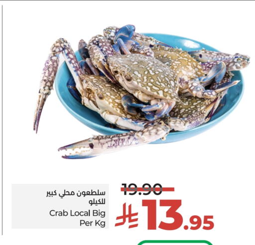 الأسماك الطازجة in لولو هايبرماركت, المملكة العربية السعودية Offers - المملكة العربية السعودية available at لولو هايبرماركت in مملكة العربية السعودية, السعودية, سعودية - عنيزة