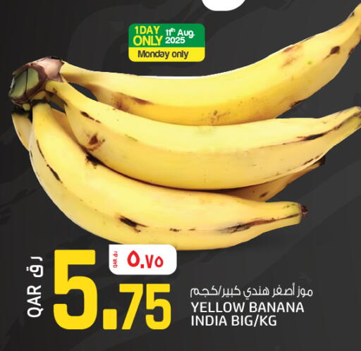 موز from India available at السعودية in قطر - الريان