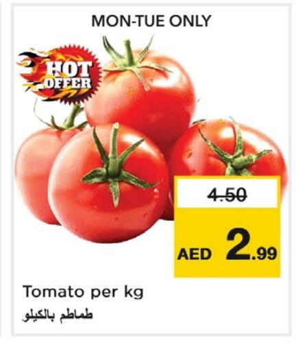 Tomato available at Nesto Hypermarket in UAE - Sharjah / Ajman