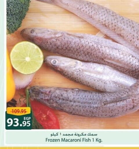available at Spinneys  in Egypt - Cairo