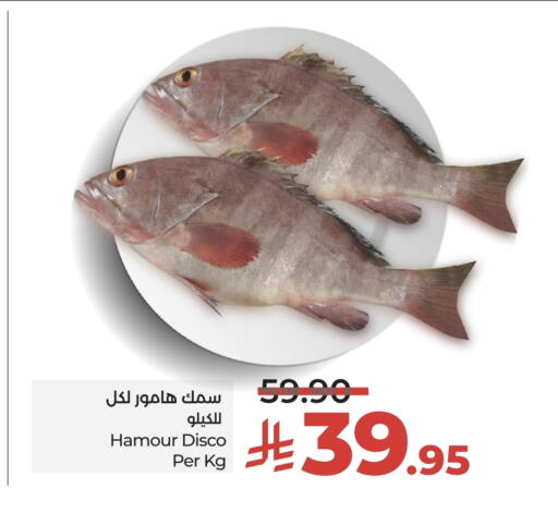 الأسماك الطازجة in لولو هايبرماركت, المملكة العربية السعودية Offers - المملكة العربية السعودية available at لولو هايبرماركت in مملكة العربية السعودية, السعودية, سعودية - عنيزة