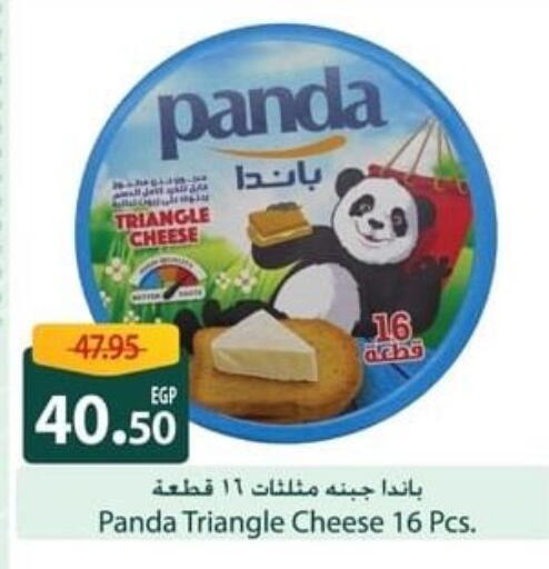 بنده جبنة مثلثات available at سبينس in Egypt - القاهرة