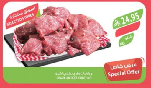 Beef available at Farm  in KSA, Saudi Arabia, Saudi - Dammam