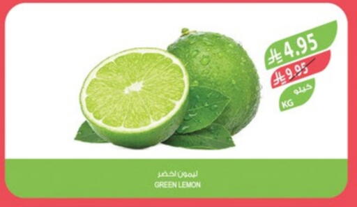 Lemon available at Farm  in KSA, Saudi Arabia, Saudi - Saihat