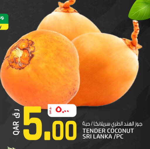 Coconut from Sri Lanka available at السعودية in قطر - الريان