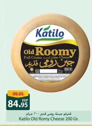 كتيلو جبنة كريمية available at سبينس in Egypt - القاهرة