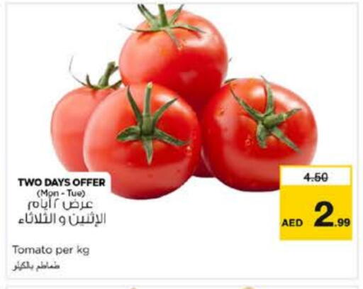 Tomato available at Nesto Hypermarket in UAE - Sharjah / Ajman