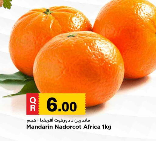 برتقال available at مرزا هايبرماركت in قطر - الشمال